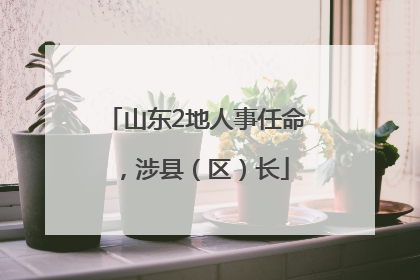 山东2地人事任命，涉县（区）长