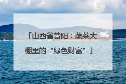 山西省昔阳：蔬菜大棚里的“绿色财富”