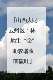 山西大同云州区：林地生“金” 助农增收前景旺