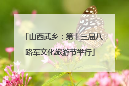 山西武乡：第十三届八路军文化旅游节举行