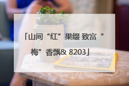 山间“红”果缀 致富“梅”香飘& 8203