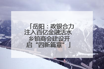岳阳：政银合力注入百亿金融活水 乡镇商会建设开启“四新篇章”