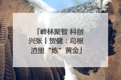 峰林聚智 科创兴张丨贺健：葛根渣里“炼”黄金