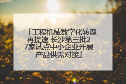 工程机械数字化转型再提速 长沙第三批27家试点中小企业开展产品供需对接