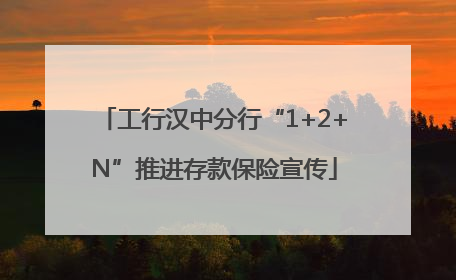 工行汉中分行“1+2+N”推进存款保险宣传