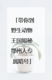 带你到野生动物王国揭秘鄂州人专属暗号