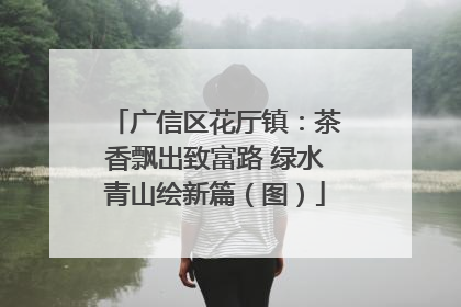 广信区花厅镇：茶香飘出致富路 绿水青山绘新篇（图）