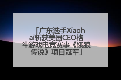 广东选手Xiaohai斩获美国CEO格斗游戏电竞赛事《饿狼传说》项目冠军
