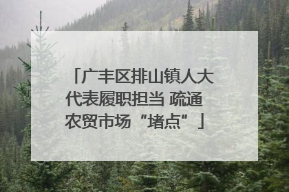 广丰区排山镇人大代表履职担当 疏通农贸市场“堵点”