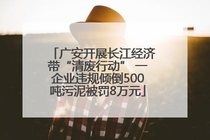 广安开展长江经济带“清废行动” 一企业违规倾倒500吨污泥被罚8万元