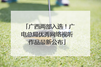 广西两部入选！广电总局优秀网络视听作品最新公布