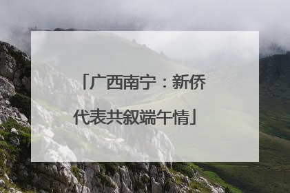 广西南宁：新侨代表共叙端午情