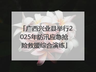 广西兴业县举行2025年防汛应急抢险救援综合演练