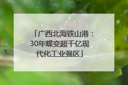 广西北海铁山港：30年蝶变超千亿现代化工业强区