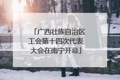 广西壮族自治区工会第十四次代表大会在南宁开幕