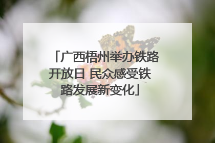 广西梧州举办铁路开放日 民众感受铁路发展新变化