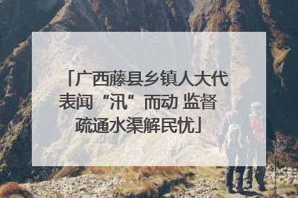 广西藤县乡镇人大代表闻“汛”而动 监督疏通水渠解民忧