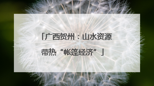广西贺州：山水资源带热“帐篷经济”