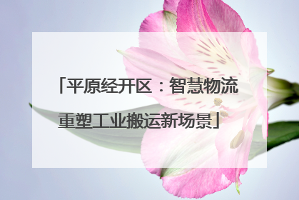 平原经开区：智慧物流重塑工业搬运新场景