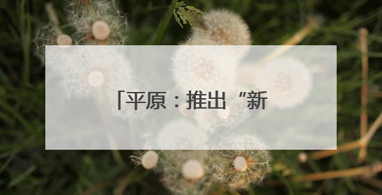 平原：推出“新能源储能电站项目”一件事改革