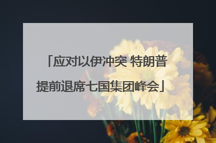 应对以伊冲突 特朗普提前退席七国集团峰会