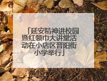 延安精神进校园暨红领巾大讲堂活动在小店区晋阳街小学举行