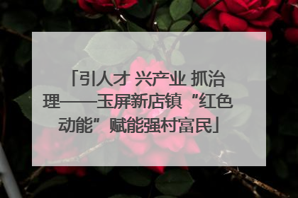 引人才 兴产业 抓治理——玉屏新店镇“红色动能”赋能强村富民