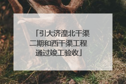 引大济湟北干渠二期和西干渠工程通过竣工验收