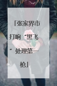 张家界市打响“黑飞”处理第一枪