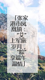 张家港市凤凰镇：“艾”上军旅岁月，“粽”享端午温情