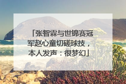 张智霖与世锦赛冠军赵心童切磋球技，本人发声：很梦幻