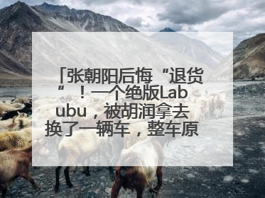 张朝阳后悔“退货”！一个绝版Labubu，被胡润拿去换了一辆车，整车原价值上百万元