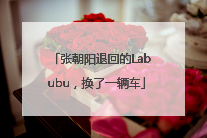 张朝阳退回的Labubu，换了一辆车