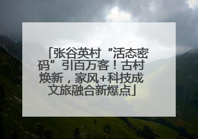 张谷英村“活态密码”引百万客！古村焕新，家风+科技成文旅融合新爆点
