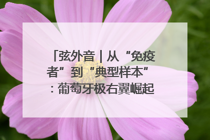 弦外音｜从“免疫者”到“典型样本”：葡萄牙极右翼崛起背后的欧洲困局