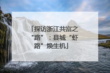 探访浙江共富之“路”：县城“虾路”焕生机