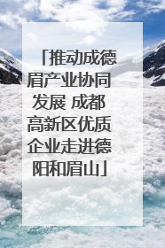 推动成德眉产业协同发展 成都高新区优质企业走进德阳和眉山