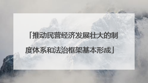 推动民营经济发展壮大的制度体系和法治框架基本形成