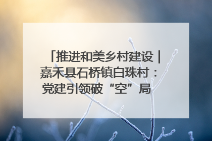 推进和美乡村建设｜嘉禾县石桥镇白珠村：党建引领破“空”局 乡贤聚力绘就新图景