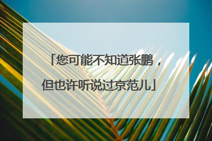 您可能不知道张鹏，但也许听说过京范儿