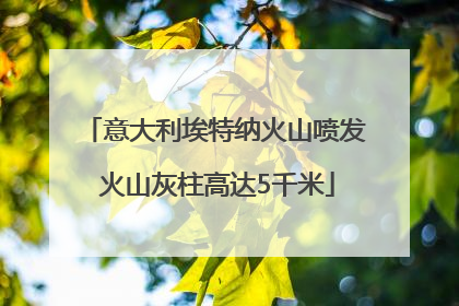 意大利埃特纳火山喷发 火山灰柱高达5千米