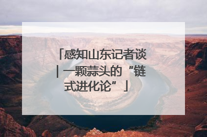 感知山东记者谈｜一颗蒜头的“链式进化论”