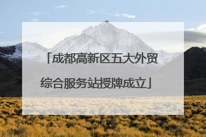 成都高新区五大外贸综合服务站授牌成立