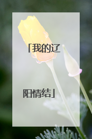 我的辽阳情结