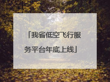 我省低空飞行服务平台年底上线