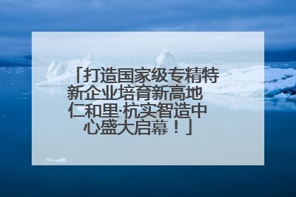 打造国家级专精特新企业培育新高地 仁和里·杭实智造中心盛大启幕！