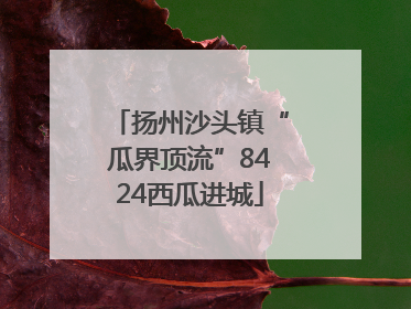 扬州沙头镇“瓜界顶流”8424西瓜进城
