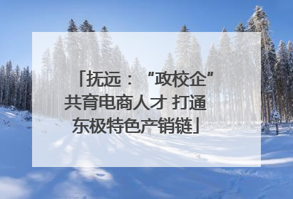 抚远：“政校企”共育电商人才 打通东极特色产销链