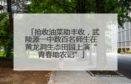 抢收油菜助丰收，武陵源一中数百名师生在黄龙洞生态田园上演“青春助农记”