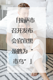拉萨市召开发布会官宣黑颈鹤为“市鸟”